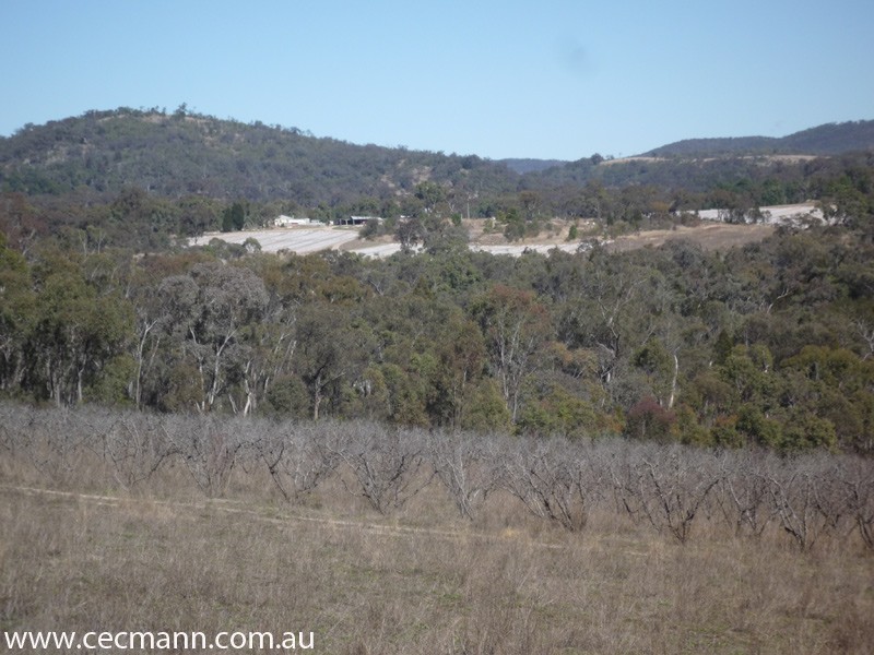 Lot 3 Rapisarda Lane, Stanthorpe QLD 4380