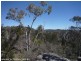 Lot 3 Rapisarda Lane, Stanthorpe QLD 4380