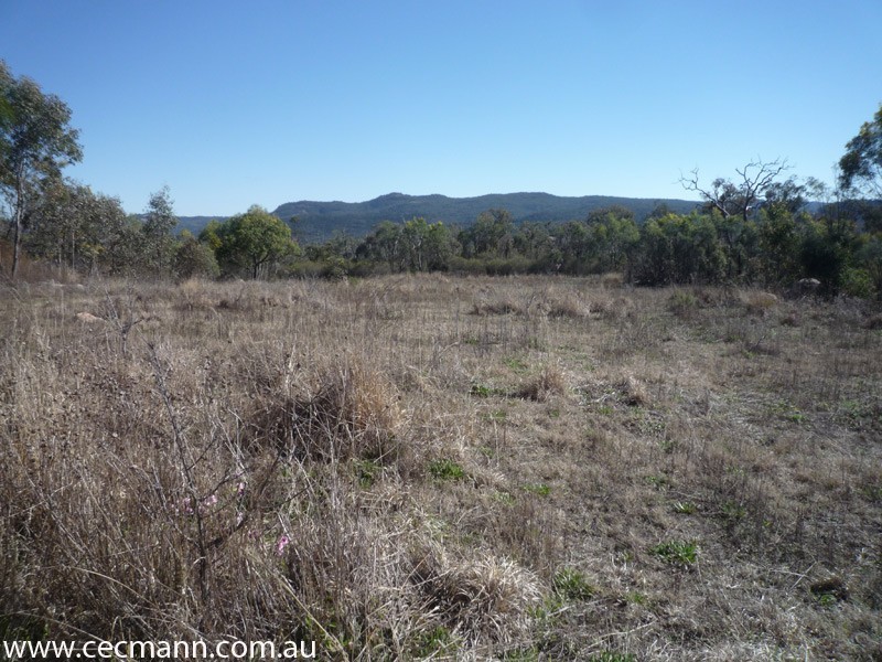 Lot 3 Rapisarda Lane, Stanthorpe QLD 4380