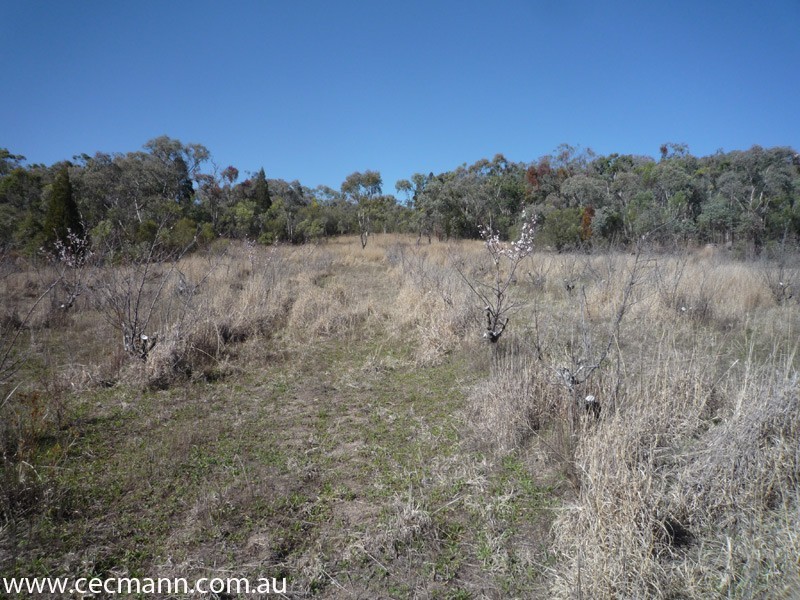 Lot 3 Rapisarda Lane, Stanthorpe QLD 4380