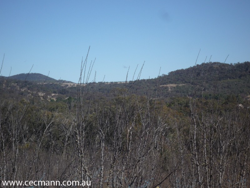 Lot 3 Rapisarda Lane, Stanthorpe QLD 4380