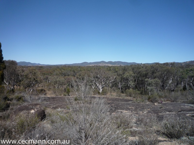 Lot 3 Rapisarda Lane, Stanthorpe QLD 4380