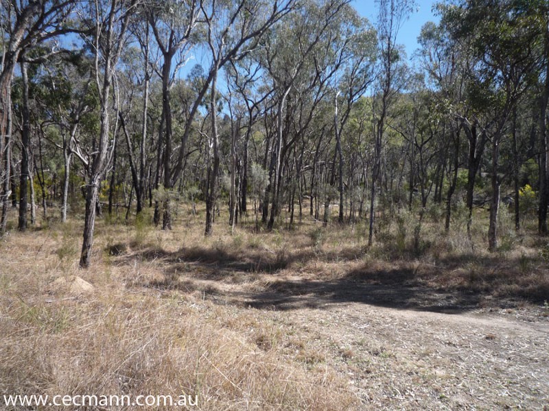 Lot 3 Rapisarda Lane, Stanthorpe QLD 4380