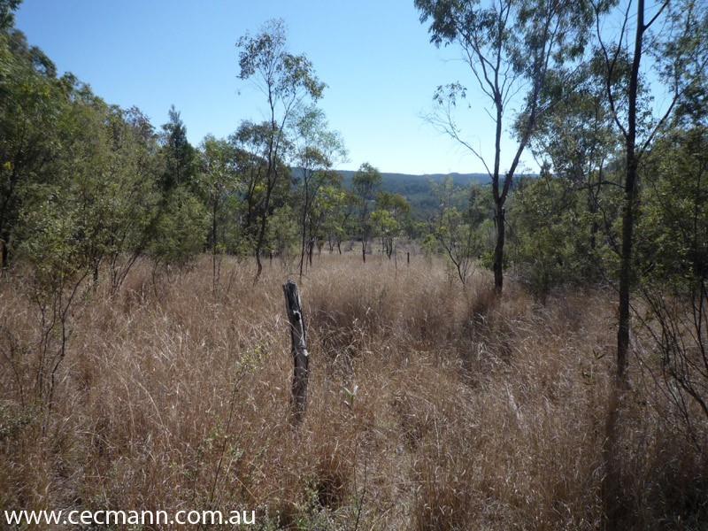 Lot 3 Rapisarda Lane, Stanthorpe QLD 4380