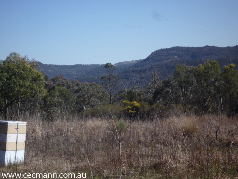Lot 3 Rapisarda Lane, Stanthorpe QLD 4380