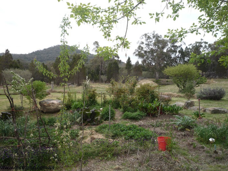 29 Dalcouth  Road, Stanthorpe QLD 4380