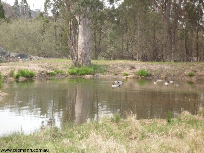 29 Dalcouth  Road, Stanthorpe QLD 4380