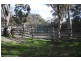 632 Amosfield Road, Stanthorpe QLD 4380