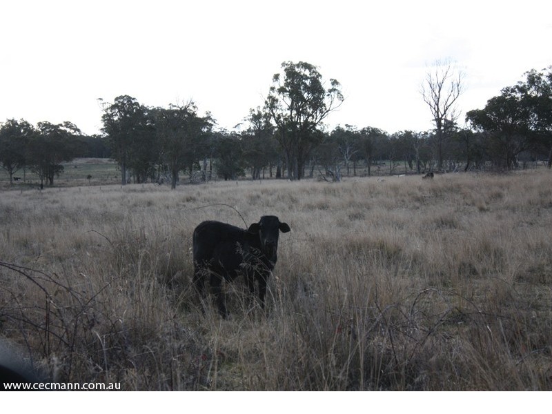 632 Amosfield Road, Stanthorpe QLD 4380