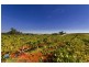 Lot 2 Treetops Estate, Lyndoch SA 5351