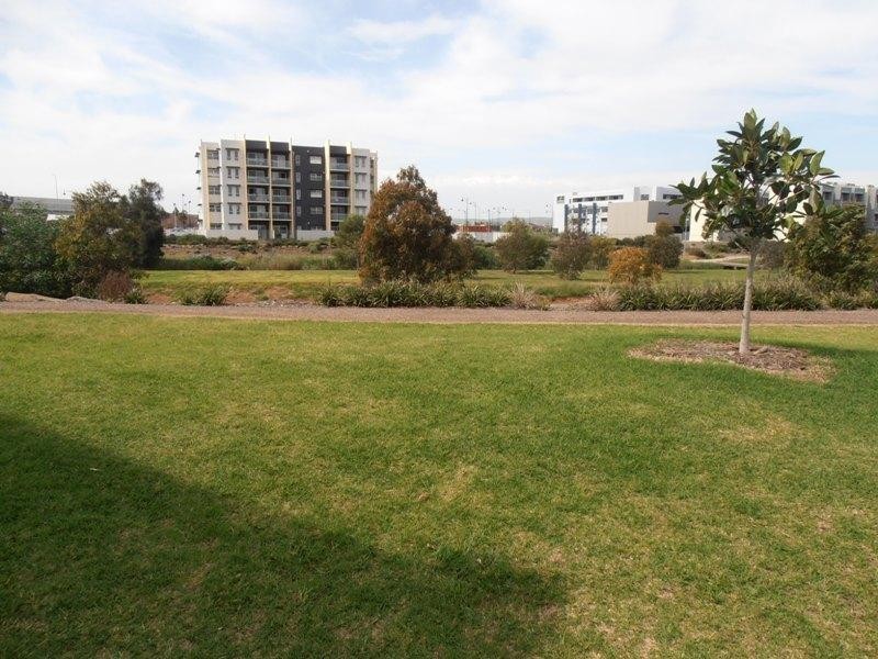 7 Dixon Lane, Mawson Lakes SA 5095