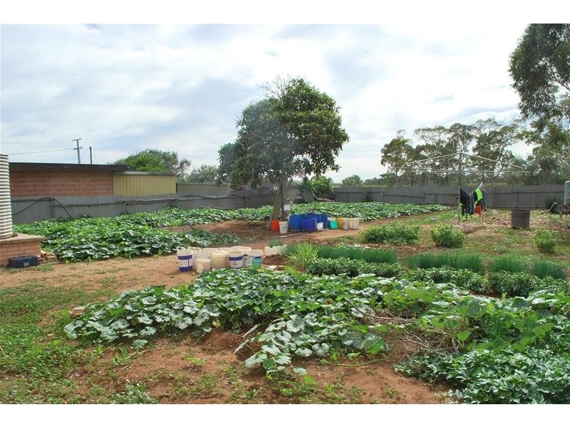 38 Phineas Street, Virginia SA 5120