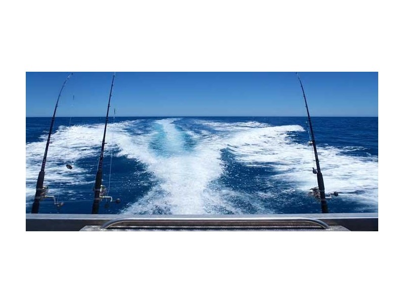 44 Cunliffe Street, Port Hughes SA 5558