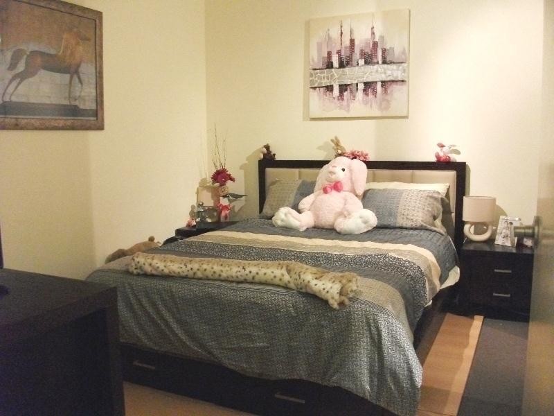 65 Elder Drive, Mawson Lakes SA 5095