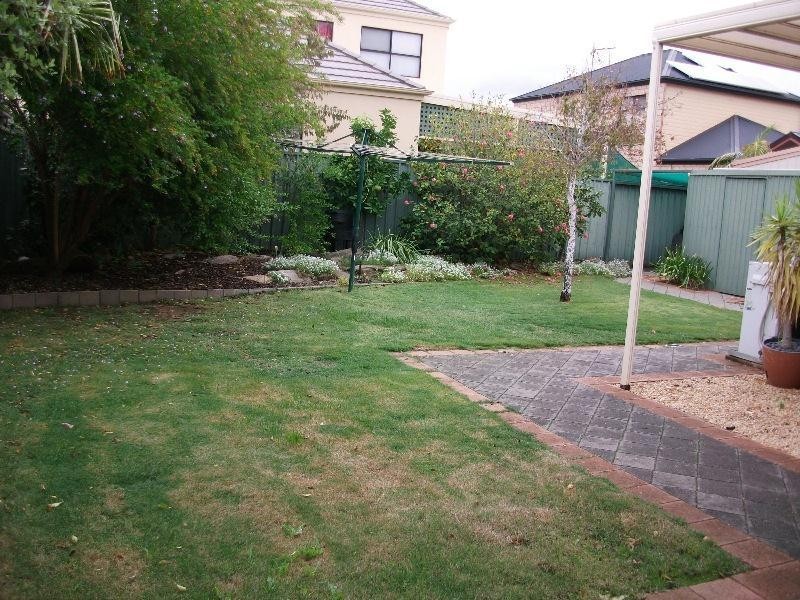 17 Elder Circuit, Mawson Lakes SA 5095