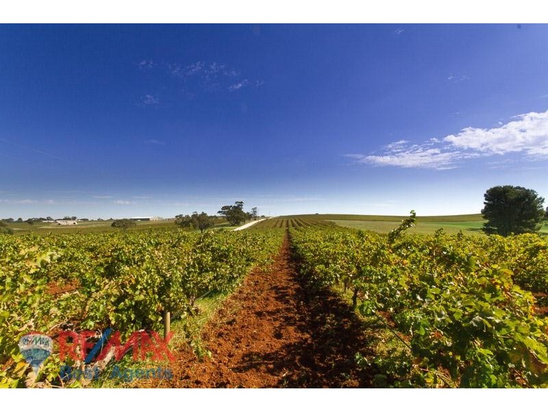 Lot 5 Treetops Estate, Lyndoch SA 5351