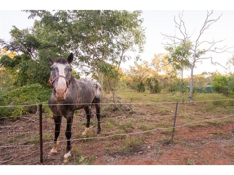 95 Yamashita Street, Roebuck WA 6725