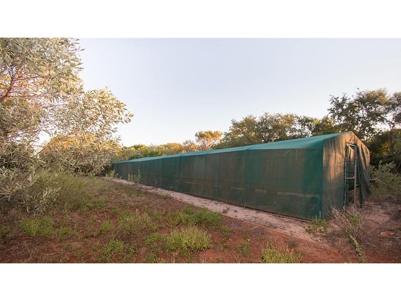 95 Yamashita Street, Roebuck WA 6725