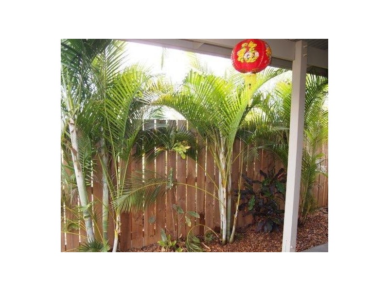 60B Sandpiper Avenue, Djugun WA 6725