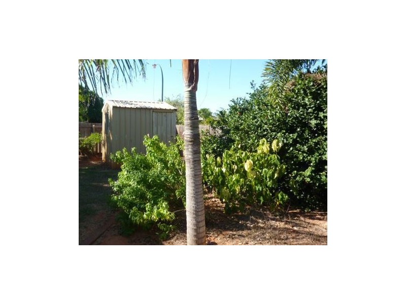 128 Sanderling Drive, Djugun WA 6725