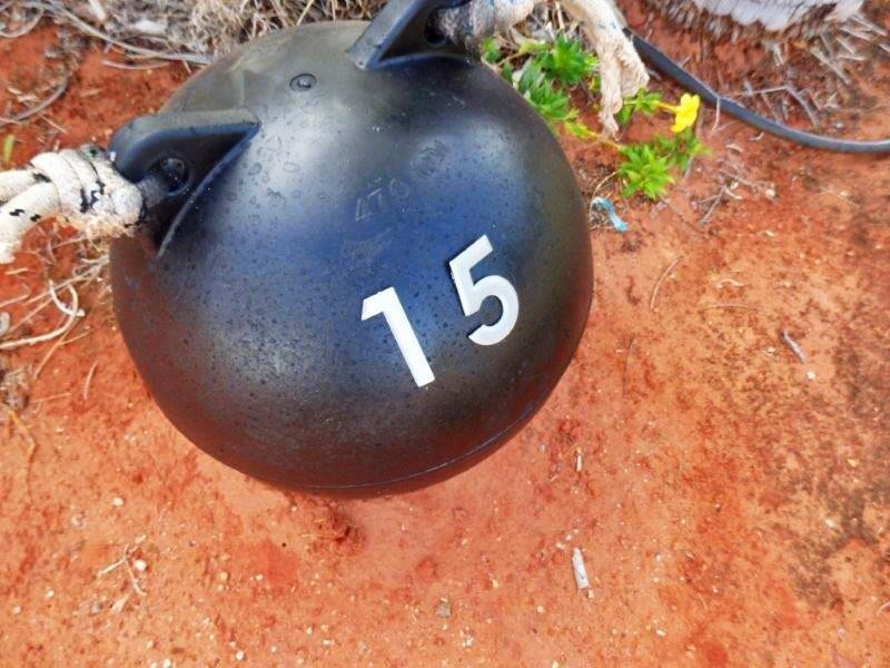 15 Bronzewing Crescent, Djugun WA 6725