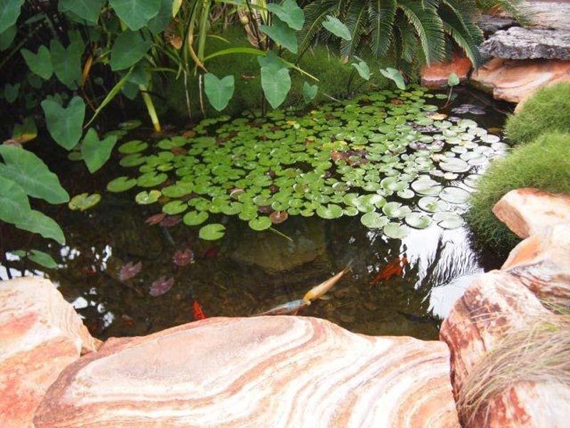 23 Bowerbird Loop, Djugun WA 6725