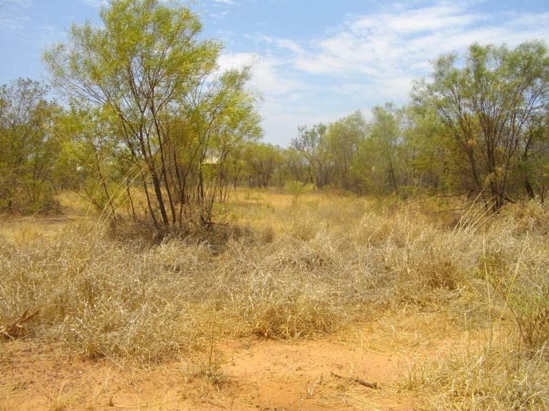 11 Dampier Drive, Derby WA 6728