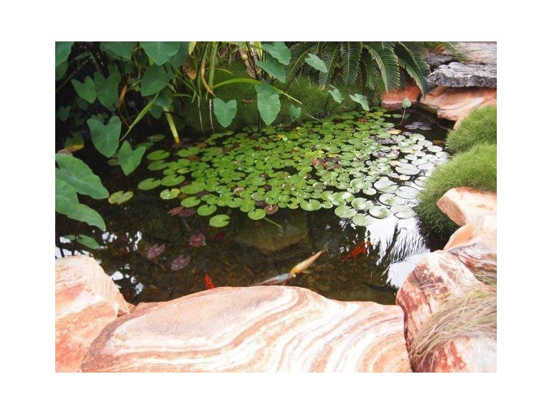 23 Bowerbird Loop, Djugun WA 6725