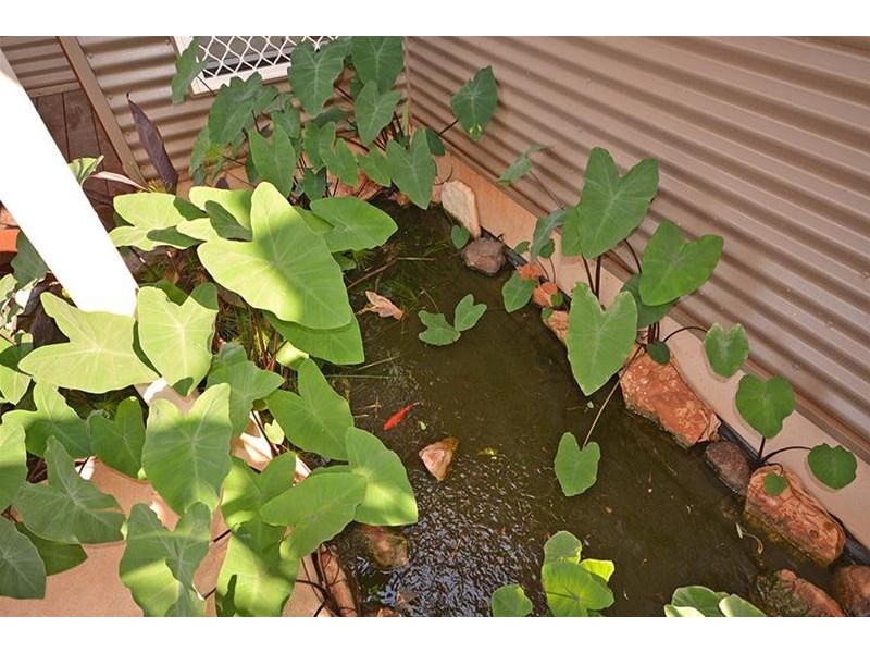 19 Sugar Glider Avenue, Djugun WA 6725