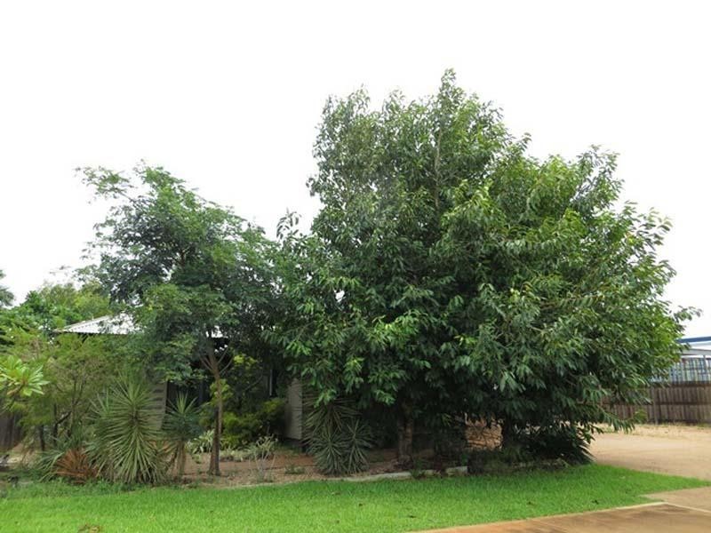 30 Planigale Loop, Djugun WA 6725