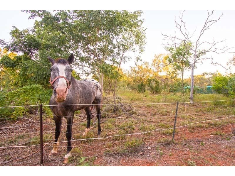 95 Yamashita Street, Roebuck WA 6725