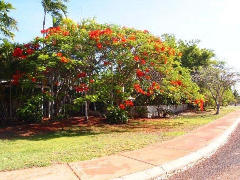 7 Gill Road, Cable Beach WA 6726