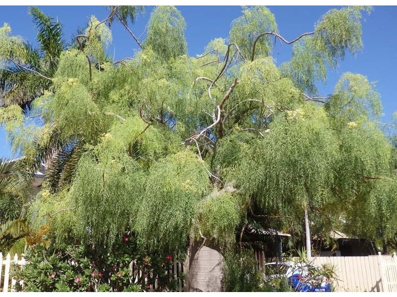 7/4 Kapang Drive, Cable Beach WA 6726