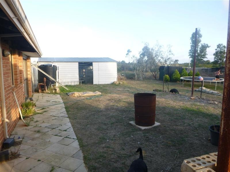 48 Paperbark Avenue, Gabbadah WA 6041