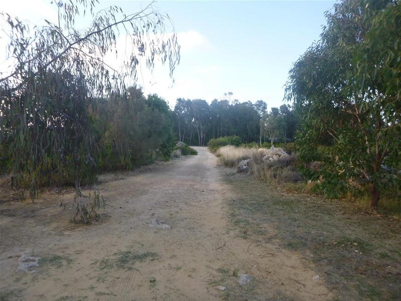 48 Paperbark Avenue, Gabbadah WA 6041