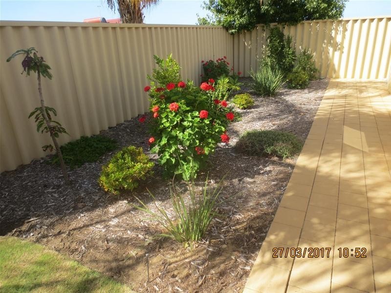 42 Camborne Parkway, Butler WA 6036