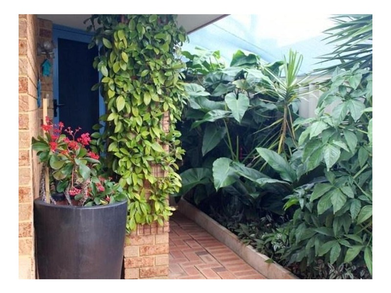 15B Vaal Grove, Joondalup WA 6027