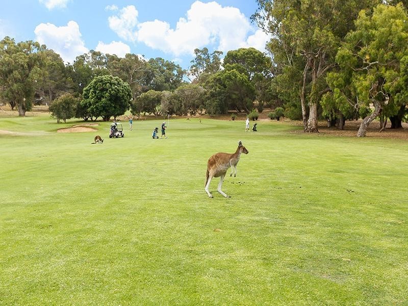 16/56 St Andrews Drive, Yanchep WA 6035