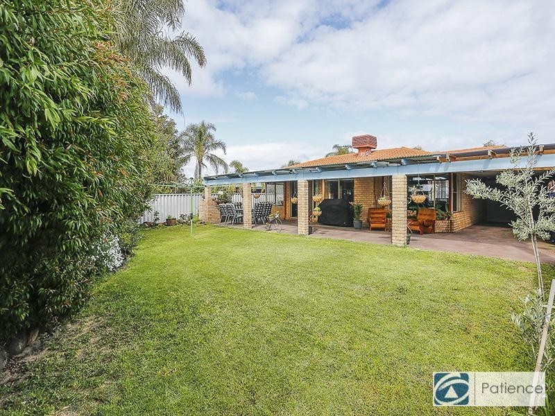 44 The Avenue, Alexander Heights WA 6064