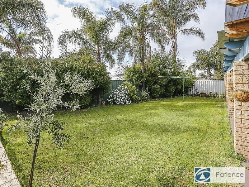 44 The Avenue, Alexander Heights WA 6064