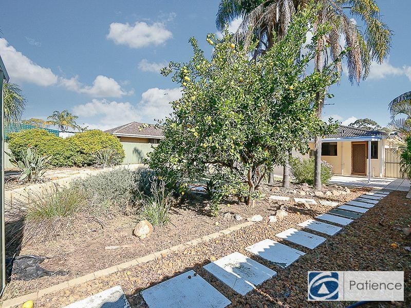 45 Manbari Crescent, Wanneroo WA 6065