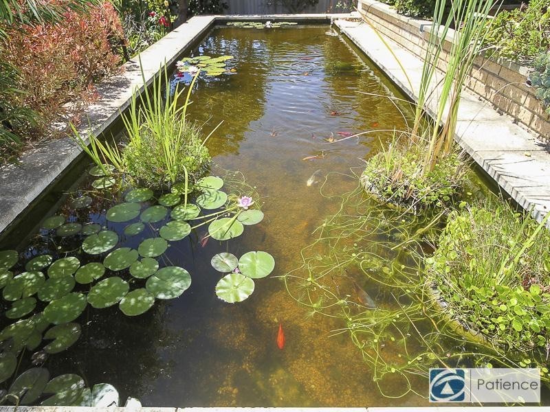 77 Otisco Crescent, Joondalup WA 6027