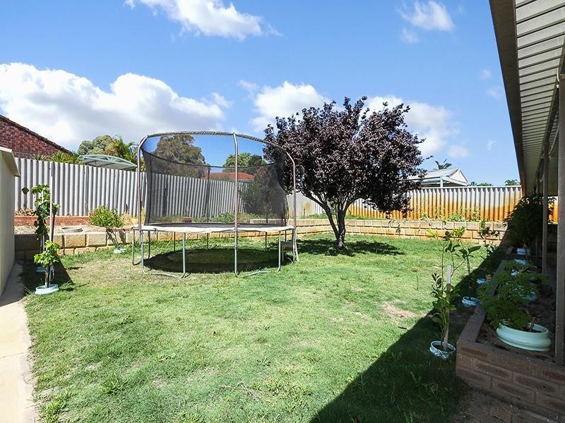 7 Halwest Way, Alexander Heights WA 6064