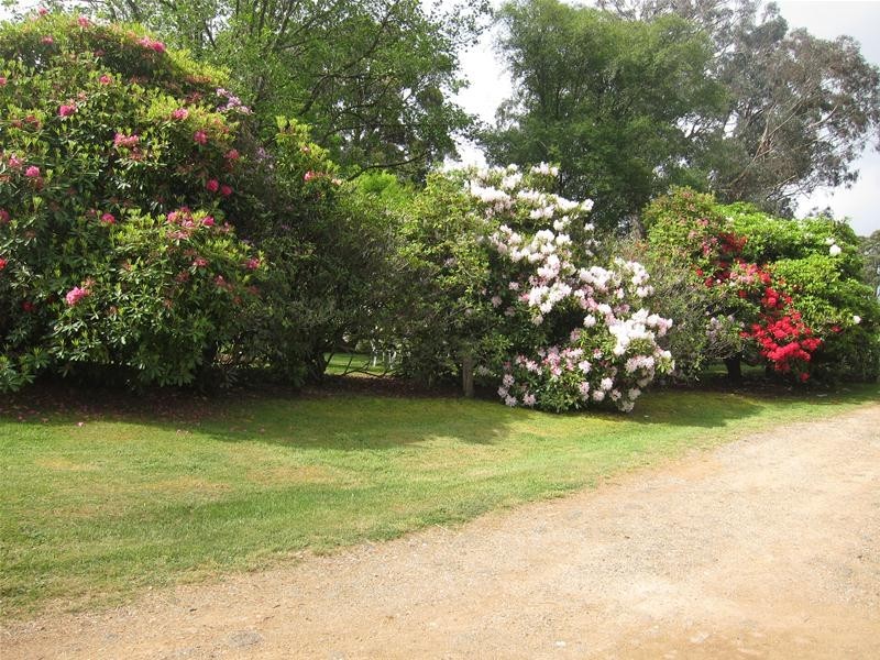 1351 Manilla Road, Hallsville NSW 2340