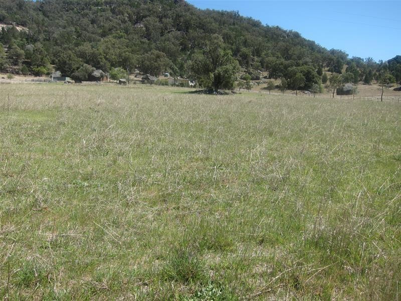 319 Gaol Creek Road, Moonbi NSW 2353