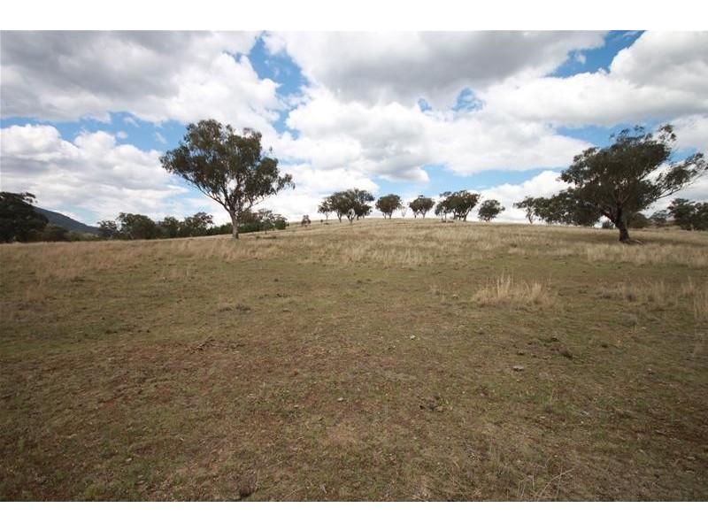 Werris Creek NSW 2341