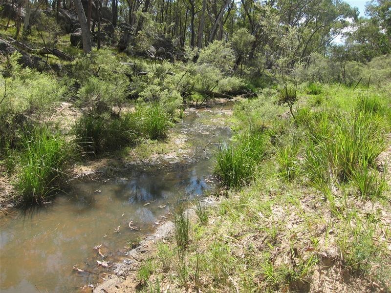Watsons Creek NSW 2355