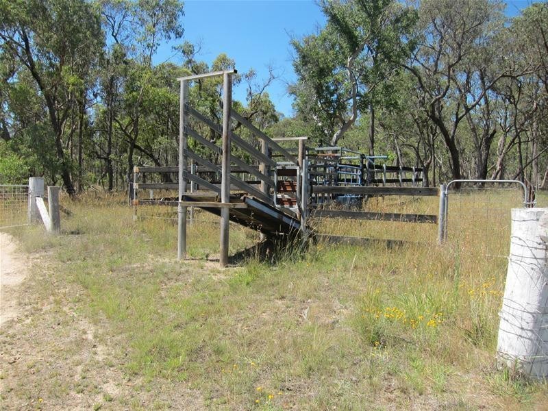 Watsons Creek NSW 2355