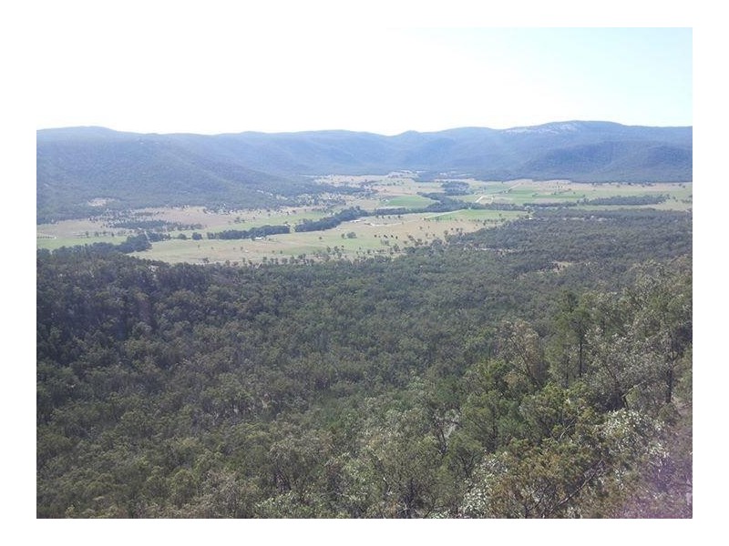 56 Vernons Lane, Moore Creek NSW 2340