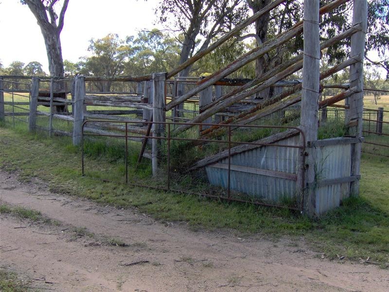 Watsons Creek NSW 2355